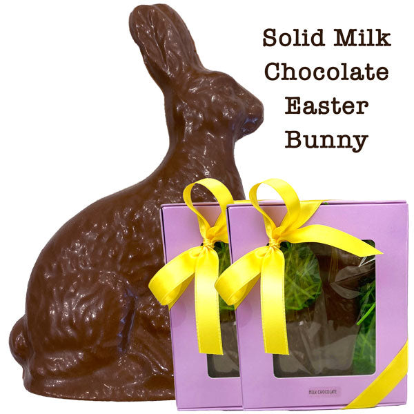 Easter Bunny - Solid Chocolate