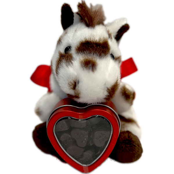 Valentine's Messenger Gift Set