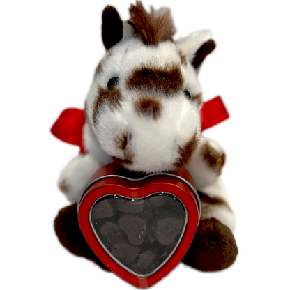 Valentine's Messenger Gift Set